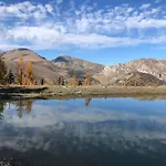 Rosie | Design | דירה באד קליניקירשהיים