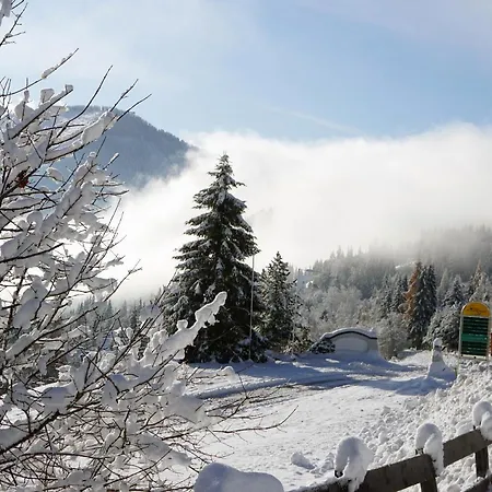 Apartment Rosie | Design |