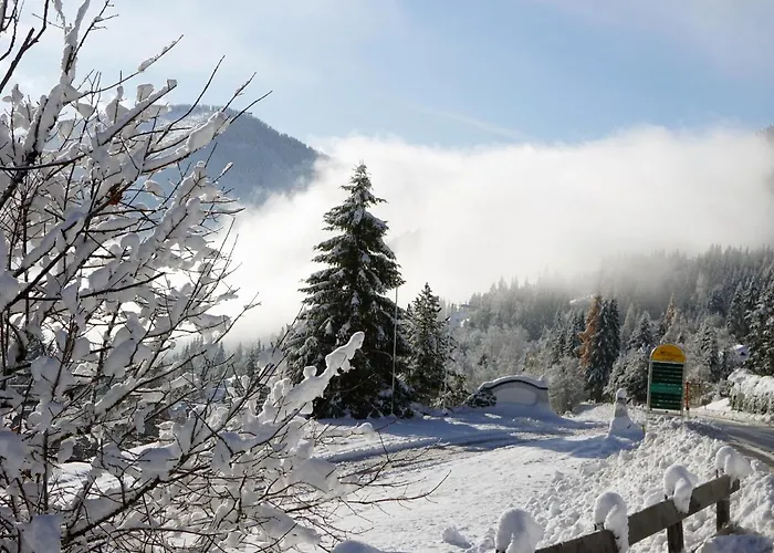 דירה Rosie | Design |