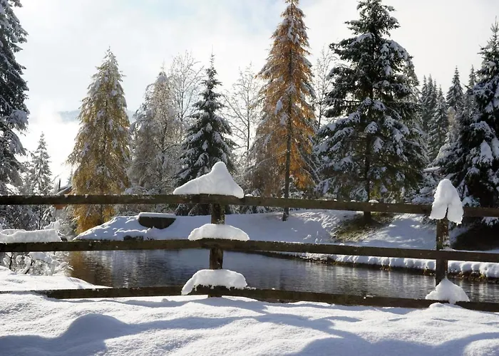 Rosie | Design | * באד קליניקירשהיים